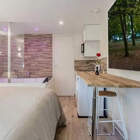 Apartment Avec Jacuzzi, Le Saccard